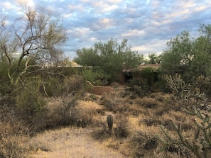 Property grounds - Authentic Adobe Casita-Awesome Central Location (Scottsdale)