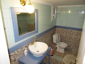 Douche, séchoir à cheveux, serviettes fournies