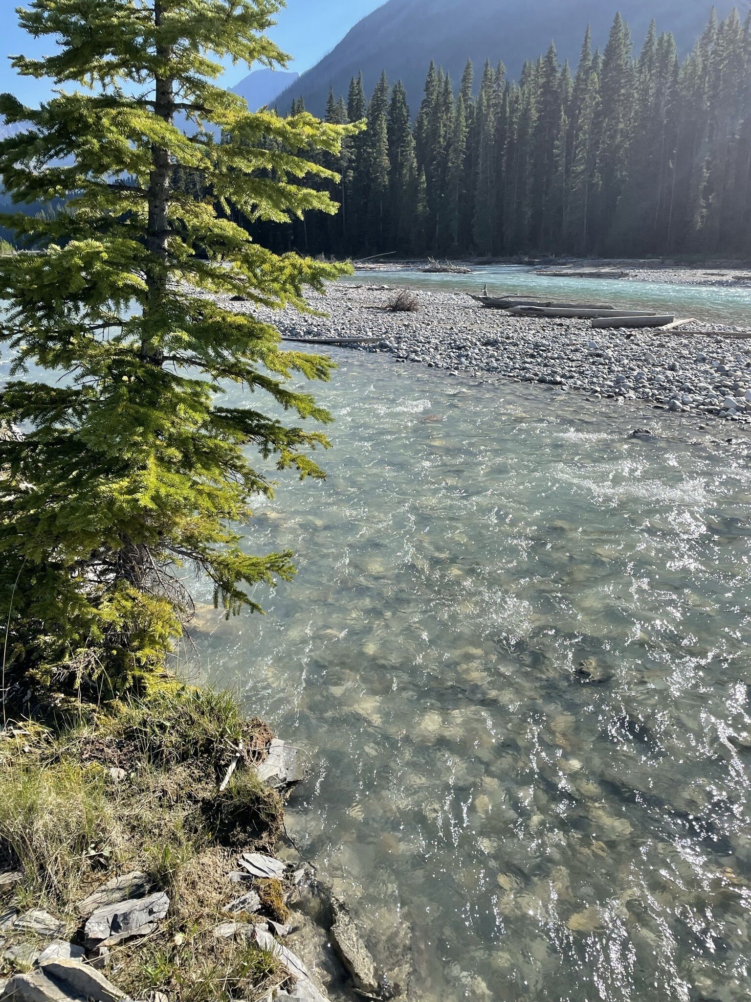 Ein Fluss mit klarem Wasser, umgeben von Felsen und Bäumen.
