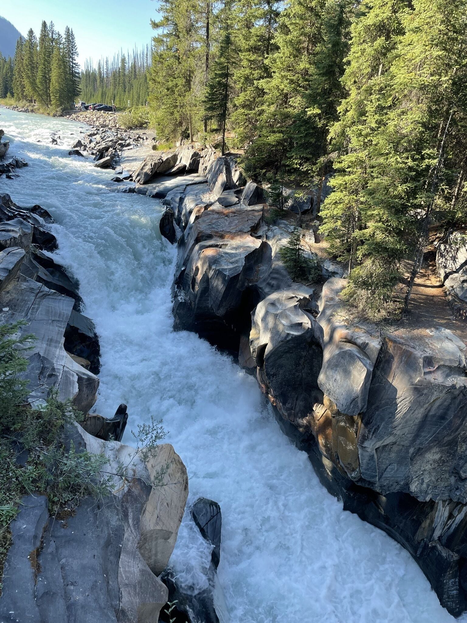A river flowing through a rocky landscape with trees.