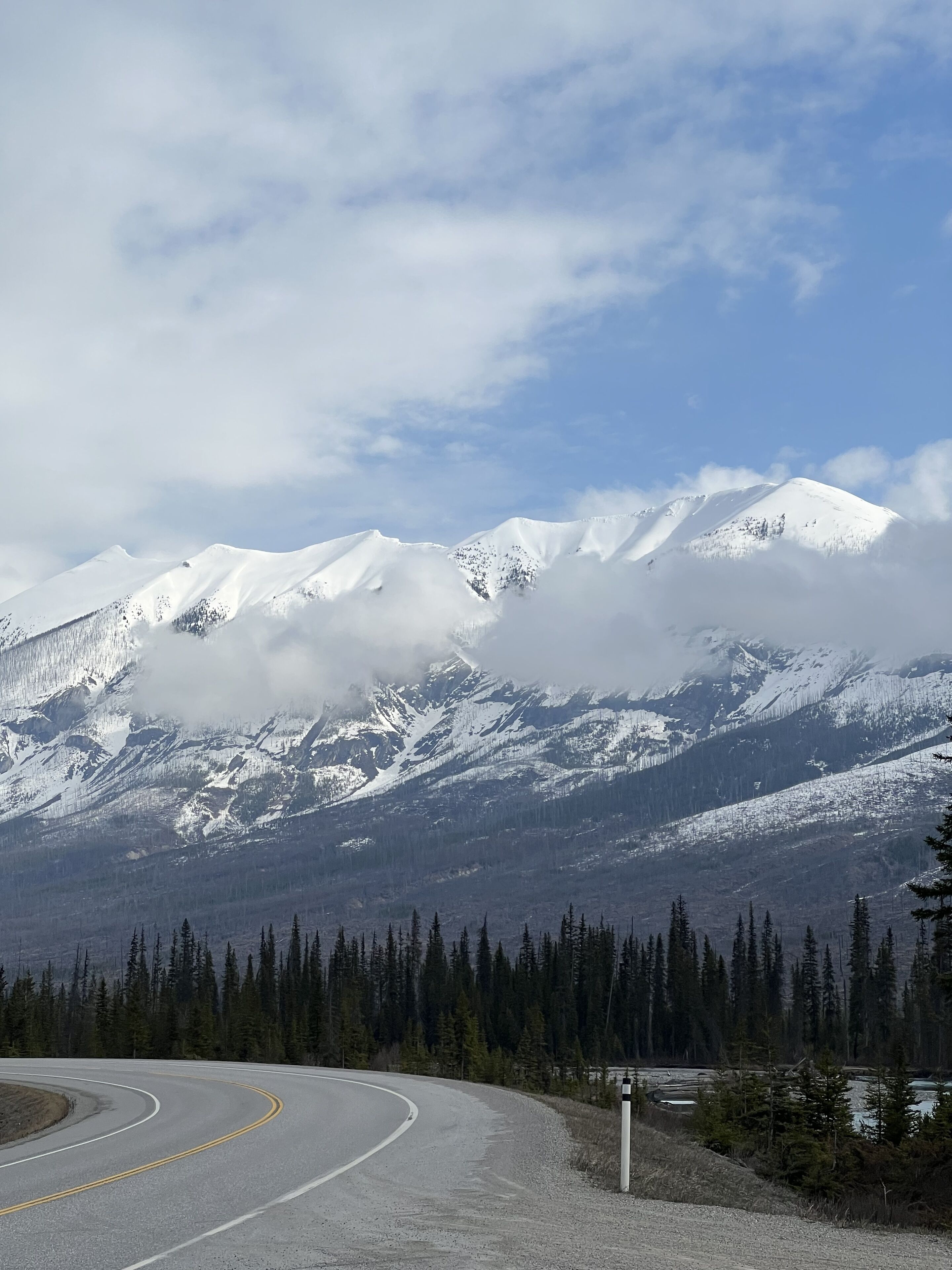 A winding road curving through a forest with snow-covered mountains in the background.