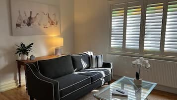 Smart TV, DVD player, books, video library