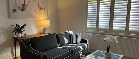 Een smart-tv, een dvd-speler, boeken en een filmbibliotheek