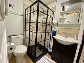 Casa de banho com chuveiro em cabine de vidro, sanita, lavatório e espelho.
