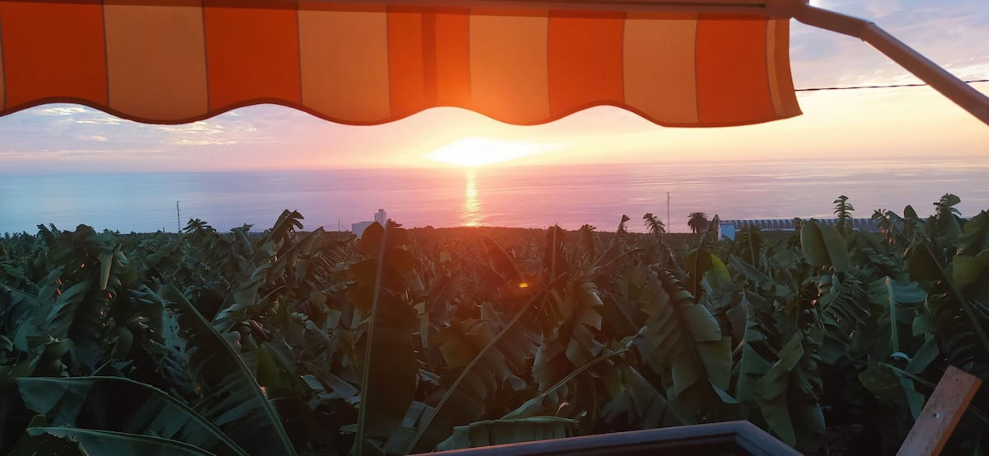 Vue depuis l’hébergement 
