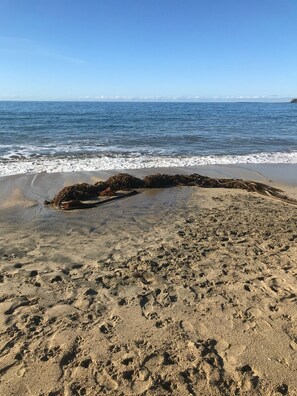 Beach nearby, sun-loungers, beach towels