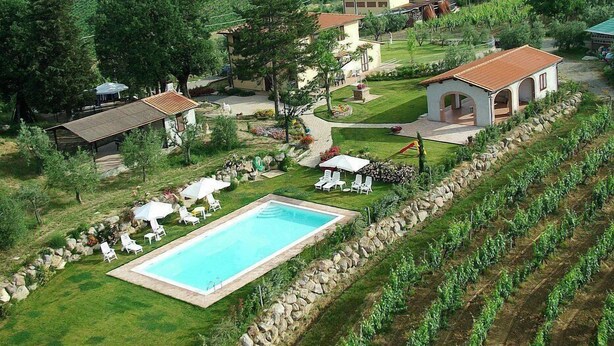 A villa with a swimming pool, surrounded by a garden and vineyard.