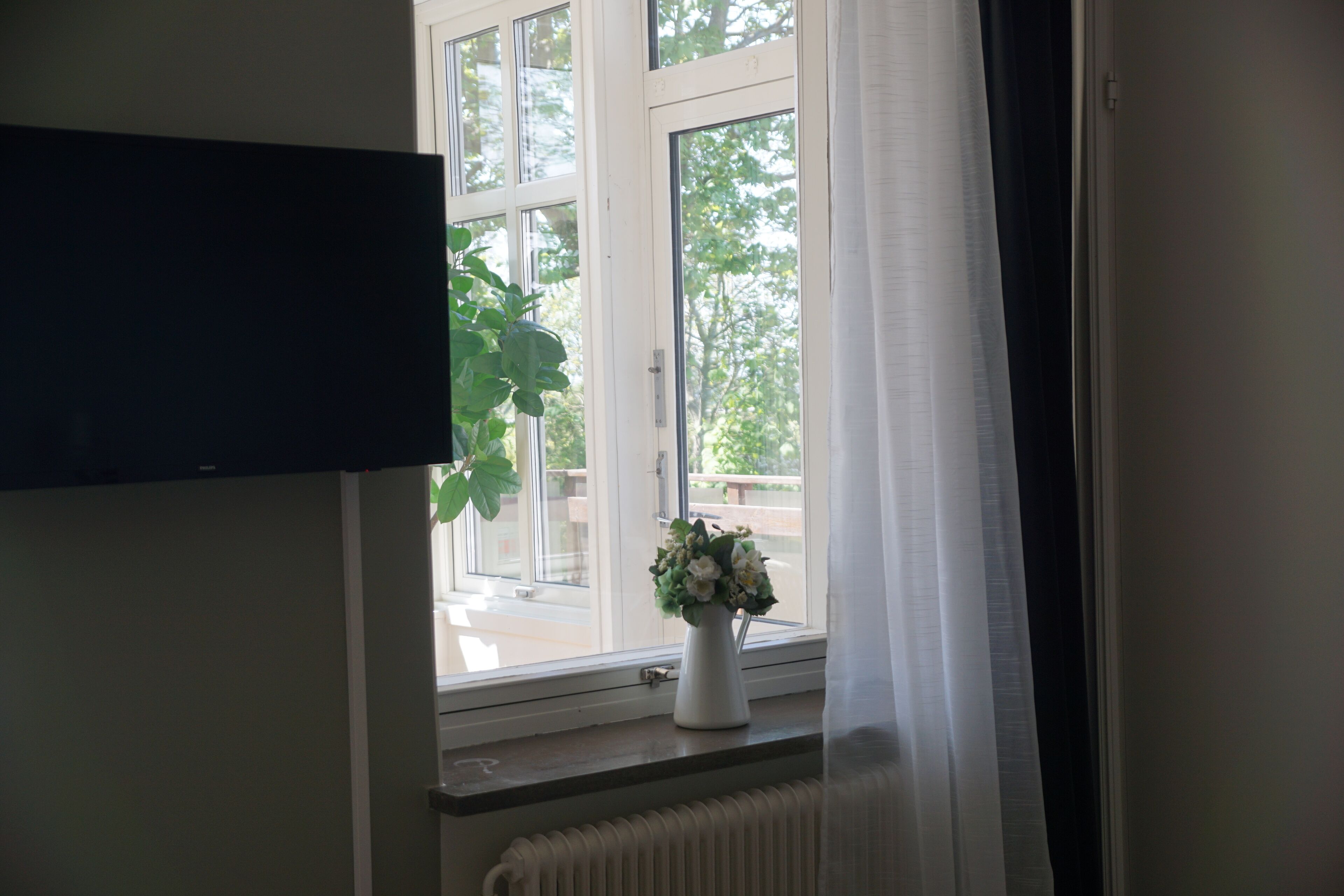 A room with a window, a radiator, and a plant.