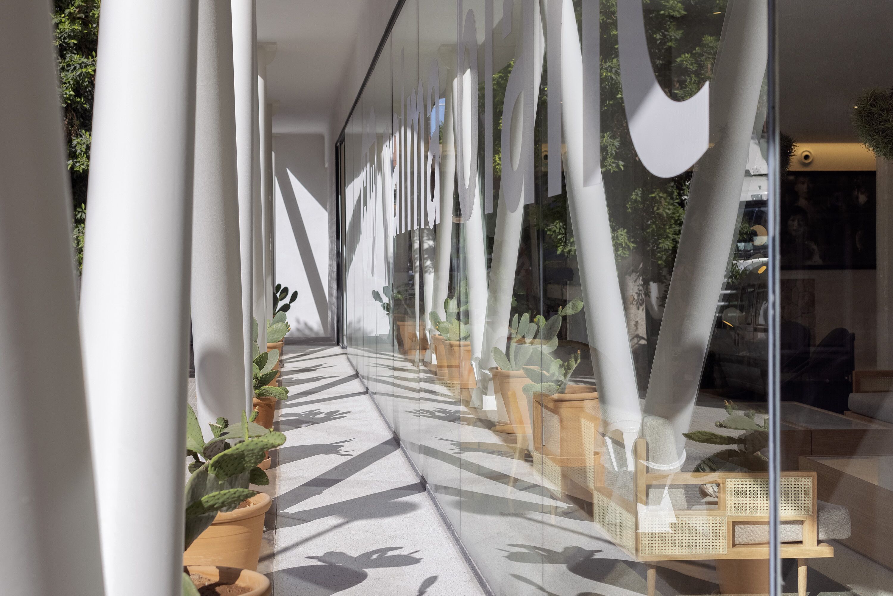 Foto - HM Palma Blanc