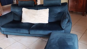 TV, fireplace, DVD player, books