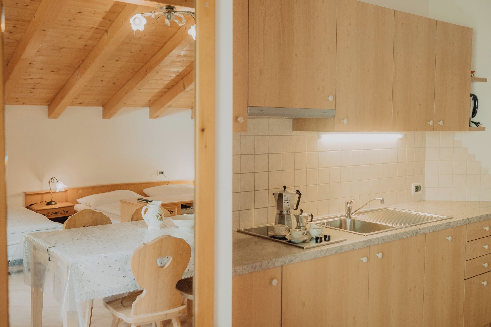 Kühlschrank, Mikrowelle, Herdplatte, Geschirrspüler