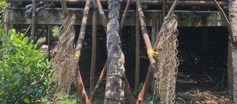 Badul Homestay - Experience the Bisingai Culture & Traditional Foods