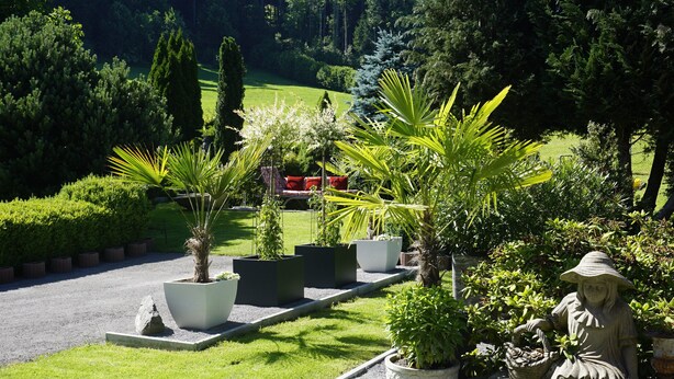 Um jardim ajardinado com diversos vasos de plantas, uma estátua e uma cadeira vermelha.