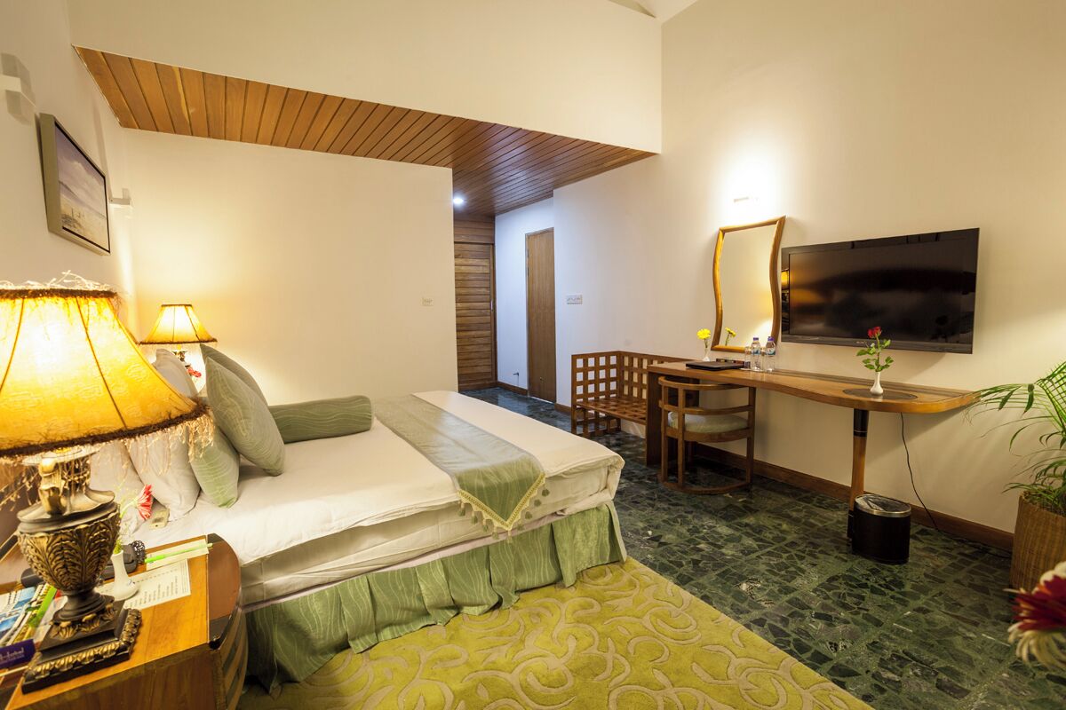 A hotel room with a bed, desk, chair, lamp, TV, and a small plant.