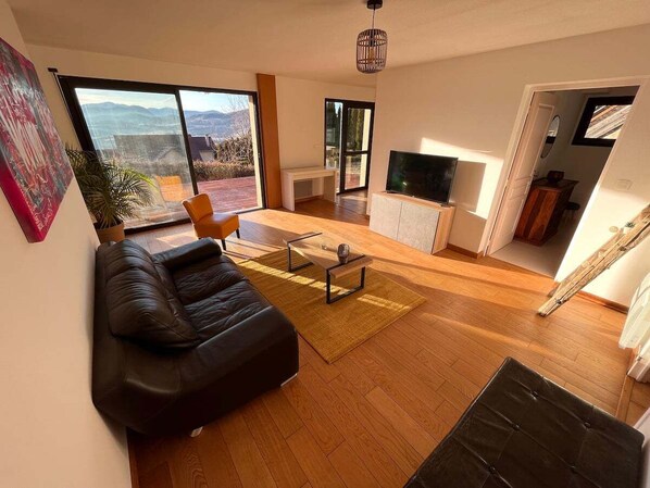 Smart TV, books, video library