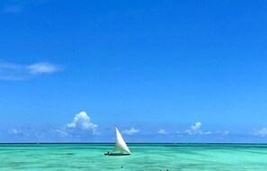 Beach - Serenity House Zanzibar (Paje)