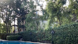 Une piscine avec des marches en pierre et des rampes métalliques, entourée d’une végétation luxuriante et bordée d’un chemin en pierre.