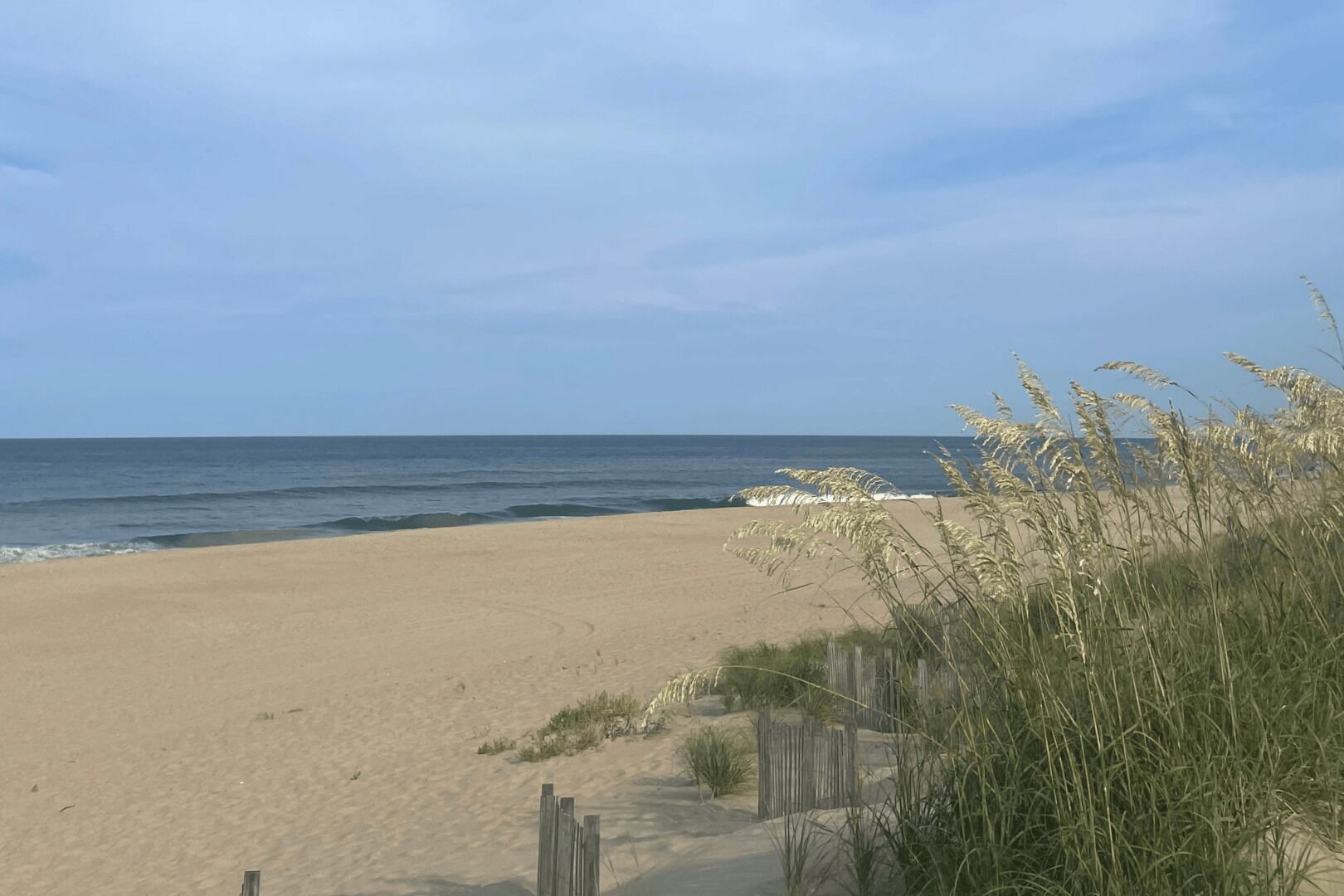 بالقرب من الشاطئ