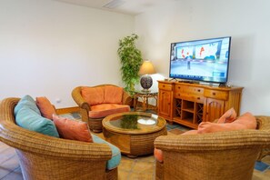 Un salon avec des meubles en osier, un téléviseur et une plante.
