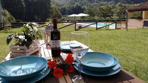 A table set outdoors with blue plates, a wine bottle, and glasses, overlooking a pool and forested hills. - SERENELLA, on the ground floor, overlooking the park, for 2/4 pers. (Camaiore)