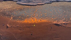 A beach with waves at sunset.