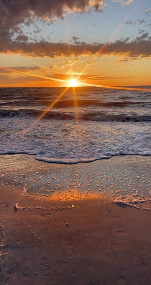 Beach nearby, sun-loungers, beach towels - Walk to Beach Remodeled home, heated Pool w/ bonus Cabana Oasis! Free Bikes (Naples)