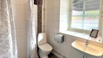 A bathroom with a toilet, a sink, and a window.