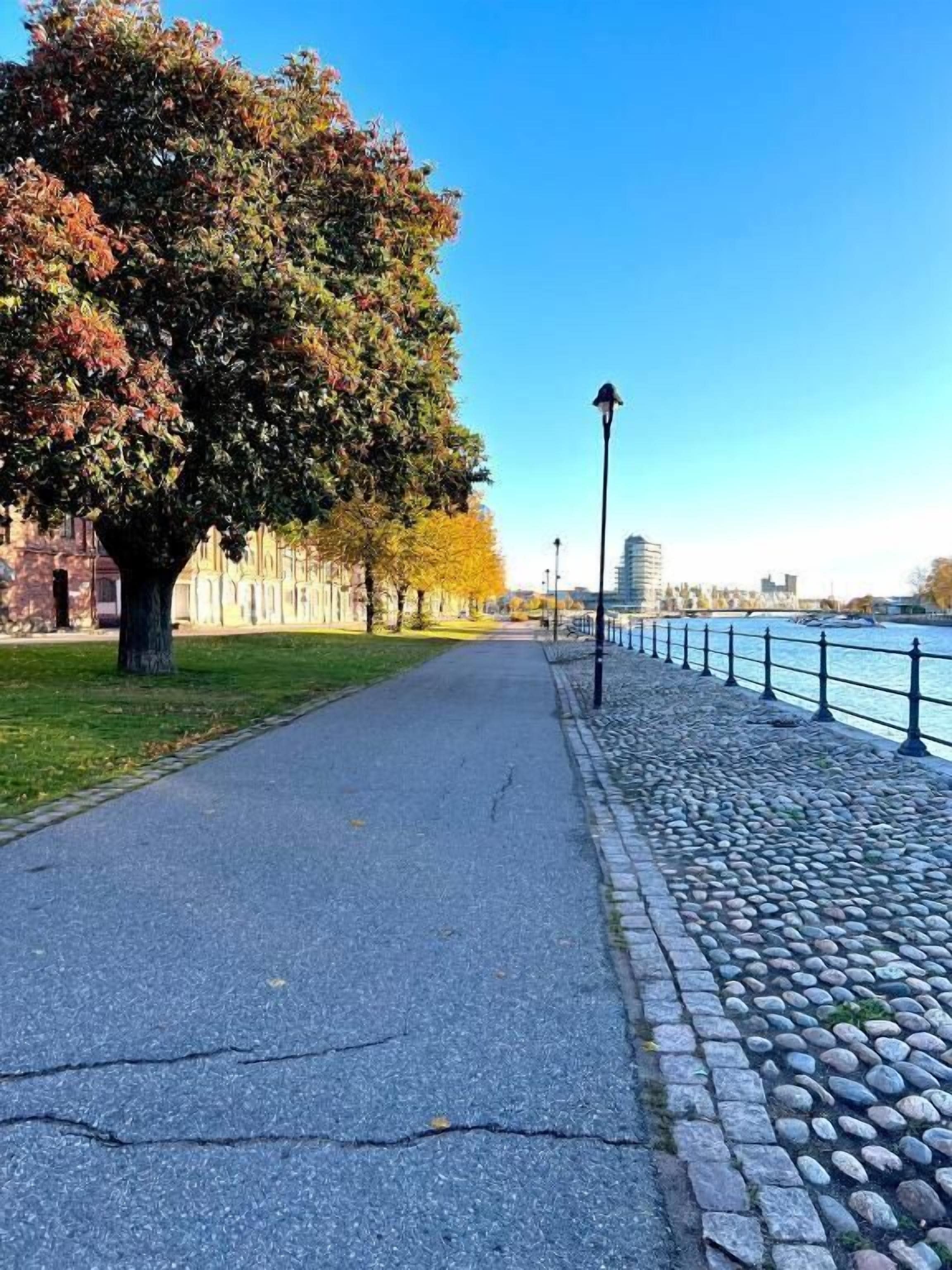En asfalteret sti langs en flod, kantet af en stenræling og et træ med efterårsfarver.