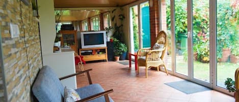 Télévision, cheminée, console de jeux vidéo