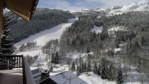 Vista de la montaña desde un balcón, con árboles nevados y cielo despejado.