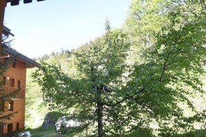 Property grounds - 300m from shops, 2nd floor, ski locker, 61m², Méribel (Méribel - Les Allues)
