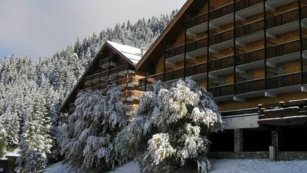 Un edificio de varios pisos con fachada de madera y balcones, rodeado de árboles cubiertos de nieve.