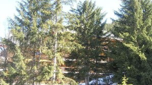 A forested area with tall evergreen trees and a building with multiple balconies in the background. - 150m from shops, Ground floor, terrace, ski locker, 40m², Méribel (Méribel - Les Allues)