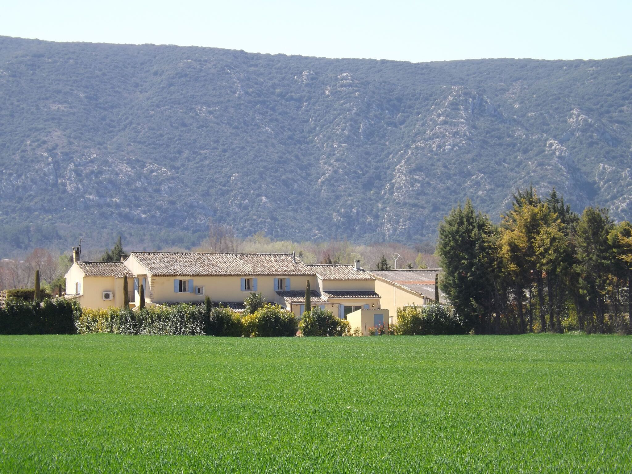 A rural house with a tiled roof, surrounded by a green field and trees, with a mountainous backdrop.