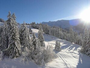 Sne- og skisport