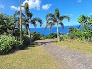 Un sentier pavé mène à un point de vue panoramique sur l’océan, entouré d’une végétation luxuriante et de palmiers.