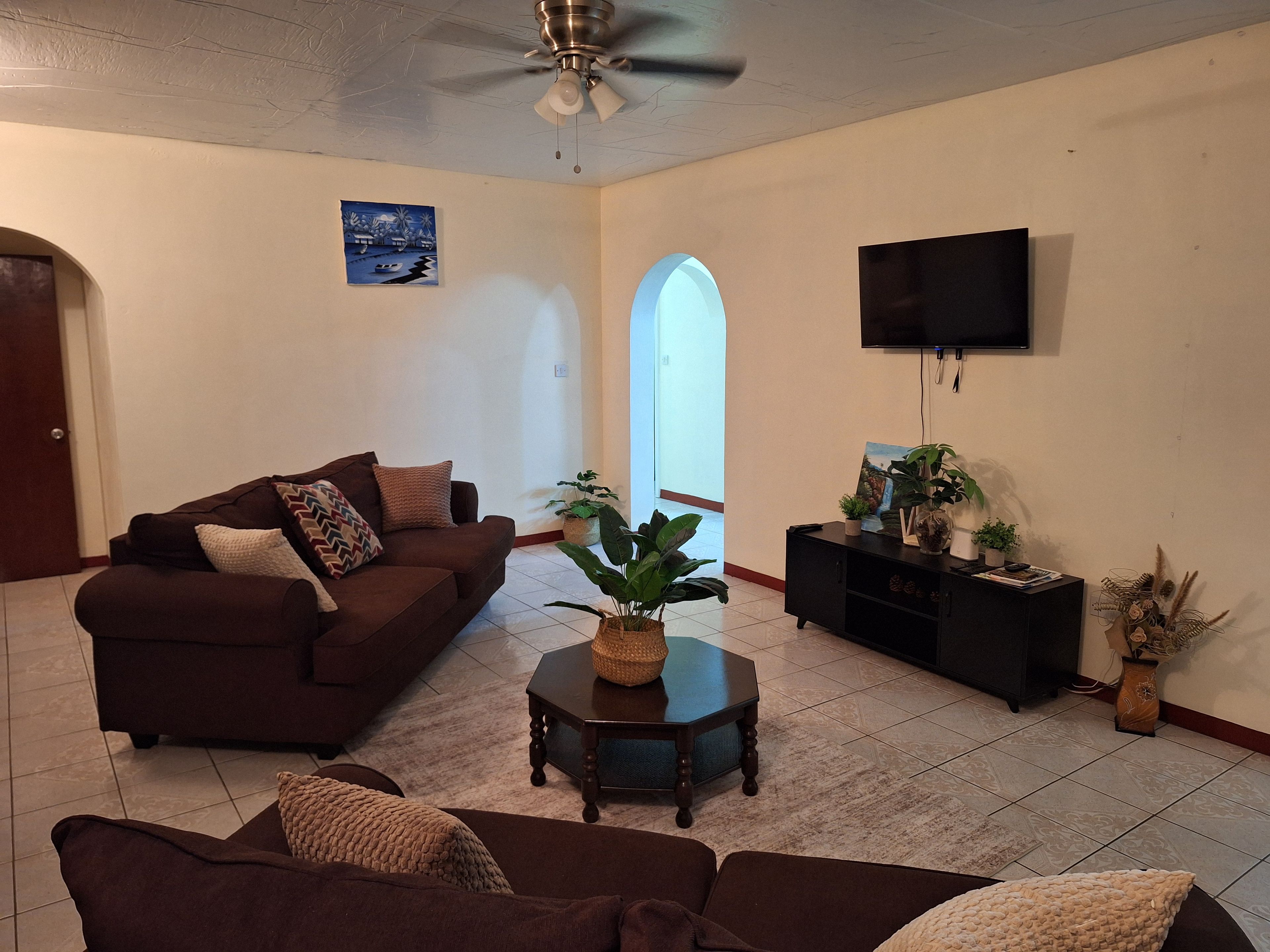 A living room with a brown sofa, a coffee table, a TV, and a plant.