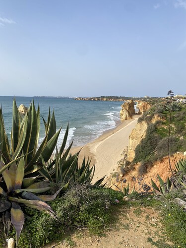 Rustic Chic Villa with solar heated Pool five minutes from the beach!