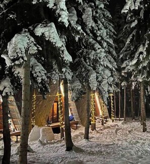 Property grounds - Cabin in the forest, near to ski lift, provide breakfast and dinner (Mestia)