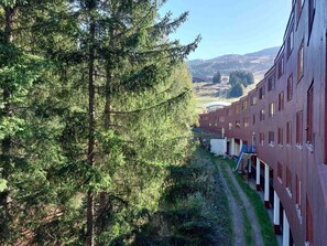 المنطقة المحيطة بالمنشأة