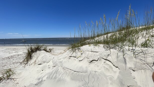 Ein Sandstrand mit Dünen und spärlicher Vegetation.