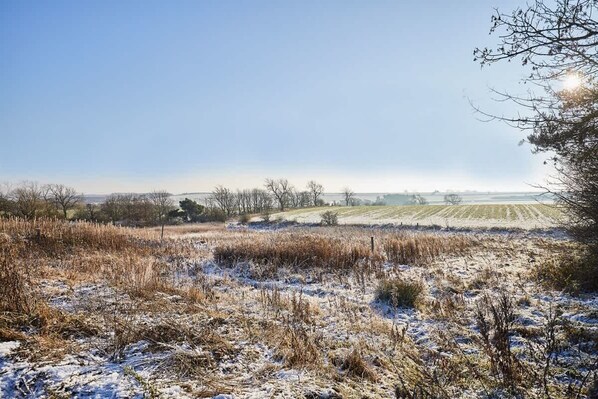 A rural landscape with fields and sparse trees under a clear sky.