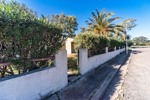 Uma trilha pavimentada ao lado de uma parede branca, com vegetação densa e uma palmeira.