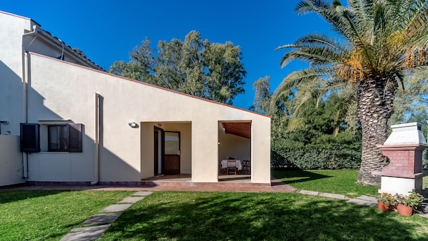 A modern house with a patio, a lawn, and a palm tree.