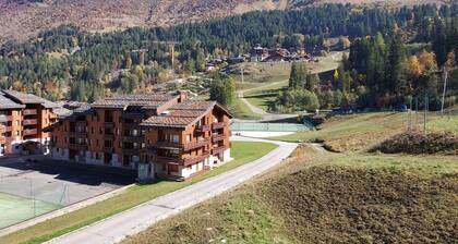 300m from shops, 3rd floor, view ski slopes, balcony, tv, ski locker, 36m², Valmorel