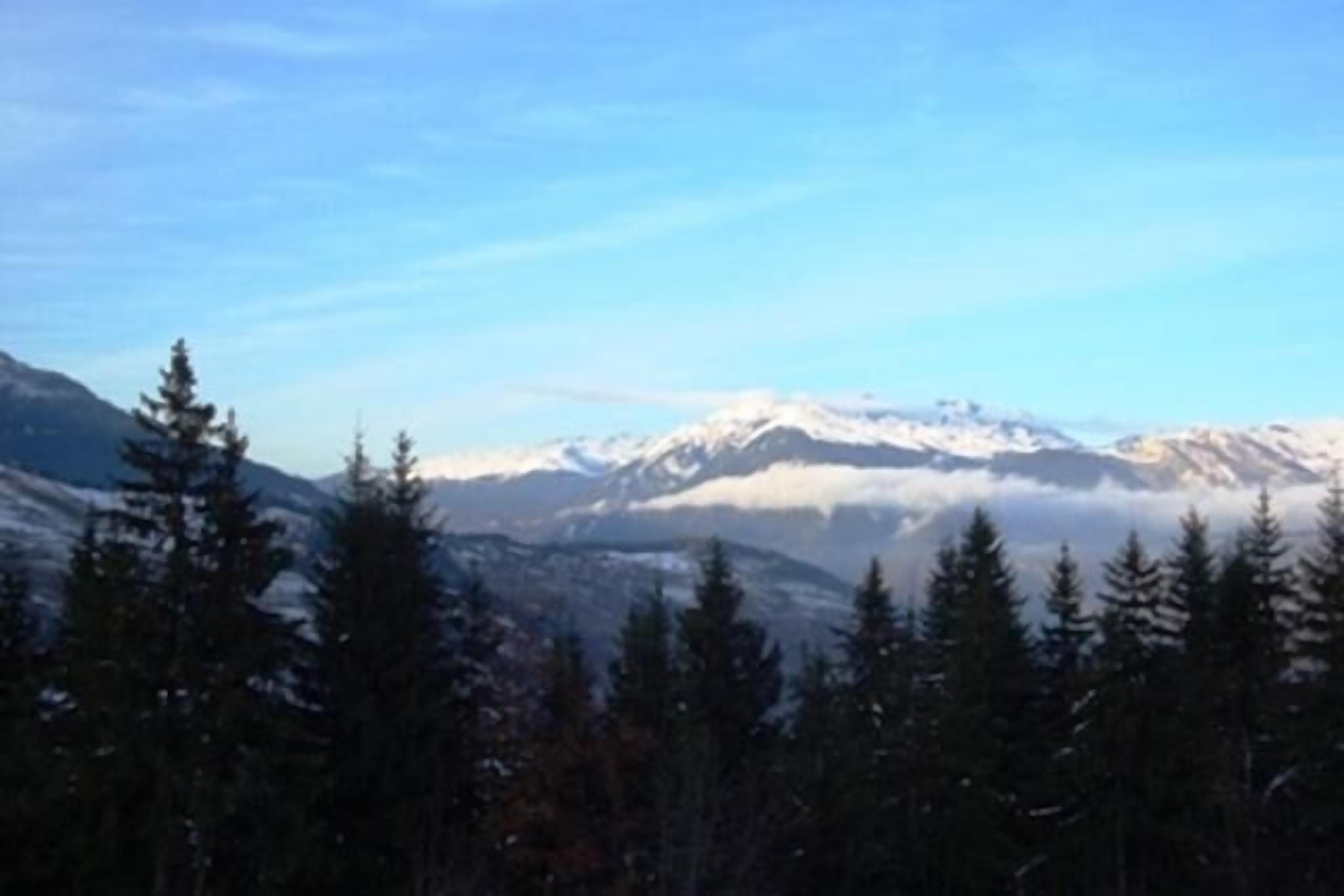 A mountain landscape with snow-capped peaks and a forested foreground.