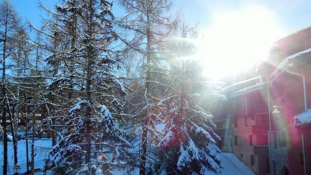 Lumipeitteinen ulkoalue, jossa on puita ja taustalla näkyy rakennus.
