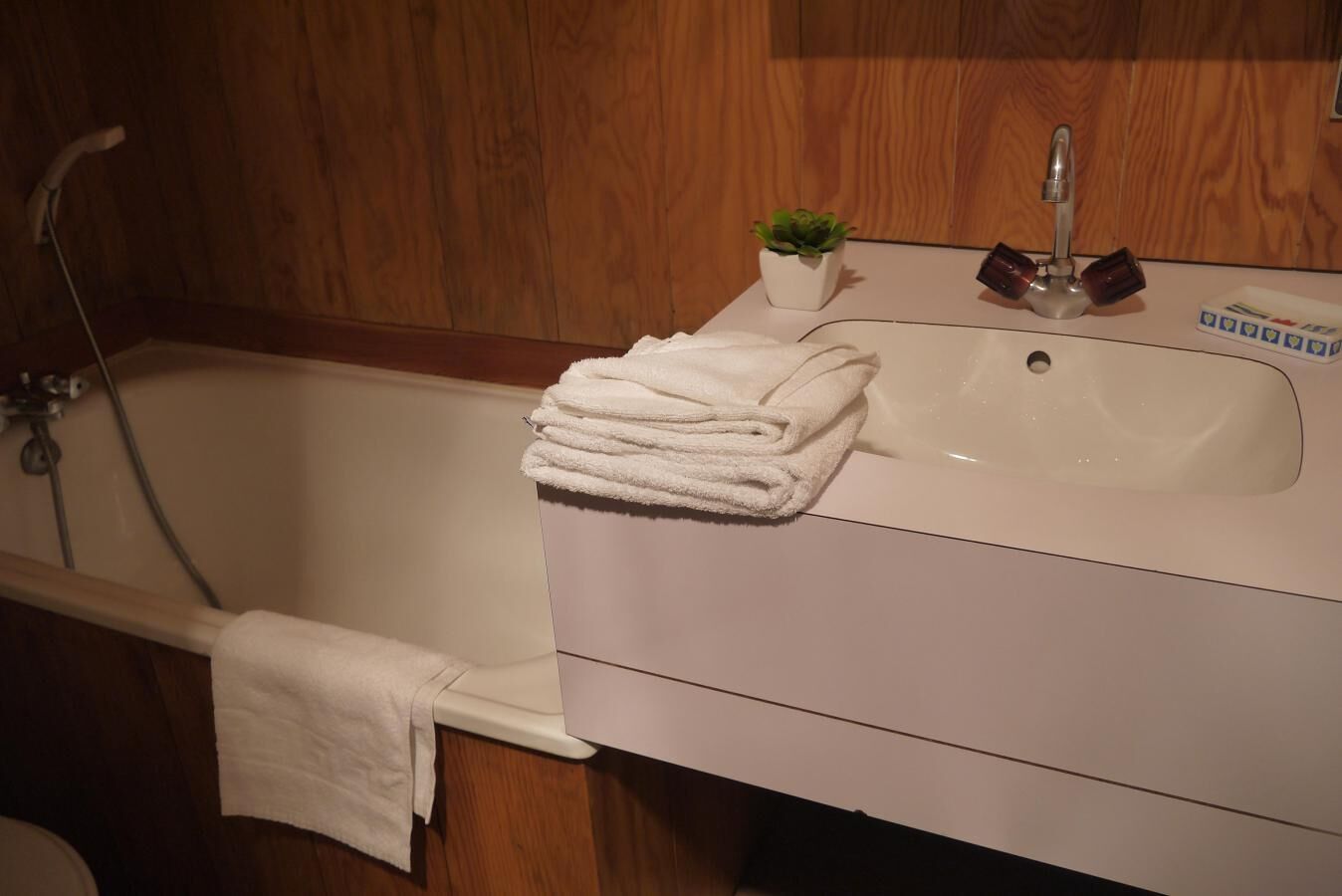 A bathroom with a white bathtub, a sink, and a small potted plant on the counter.