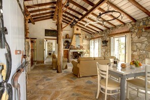 Télévision, cheminée, lecteur de DVD, livres