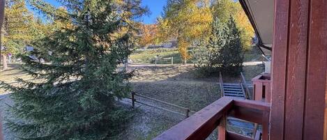 A wooden balcony with a view of a grassy area and trees.